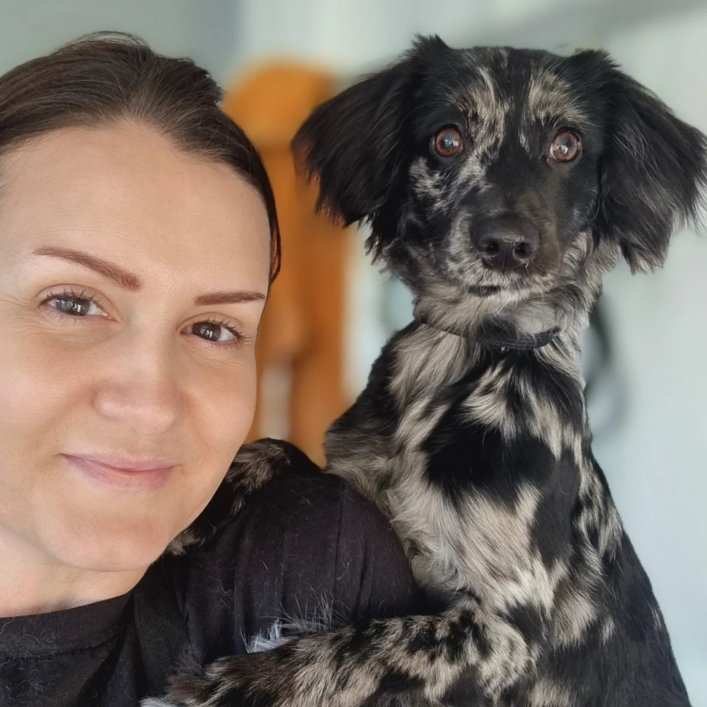 Mel grooming a dog with care